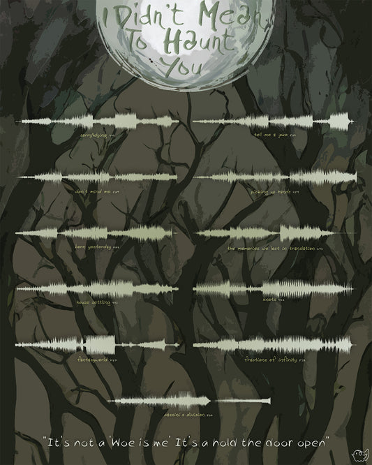 i didn't mean to haunt you